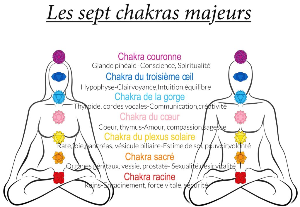 les 7 chakras